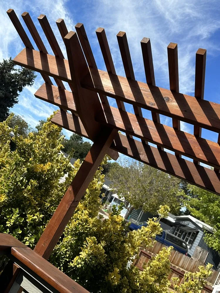 Slide of Bowman Aire