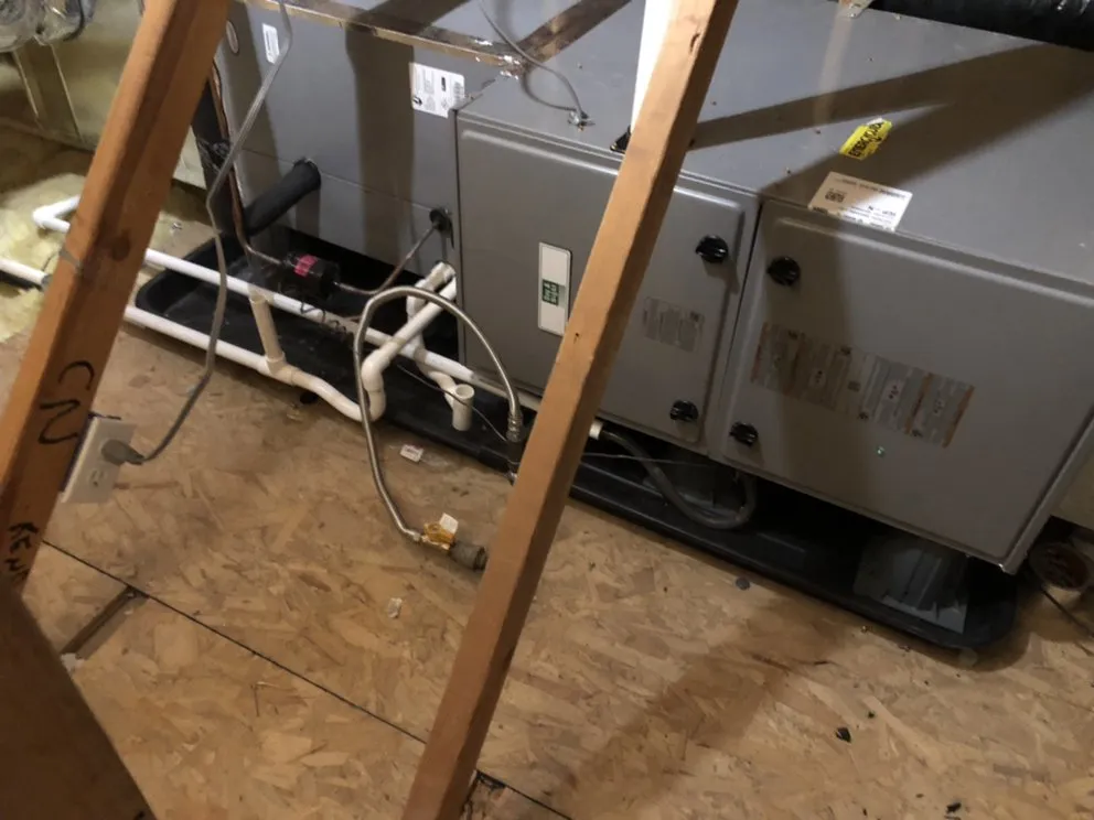 Slide of Bowman Aire