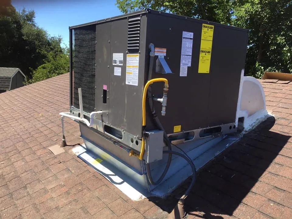 Slide of Bowman Aire