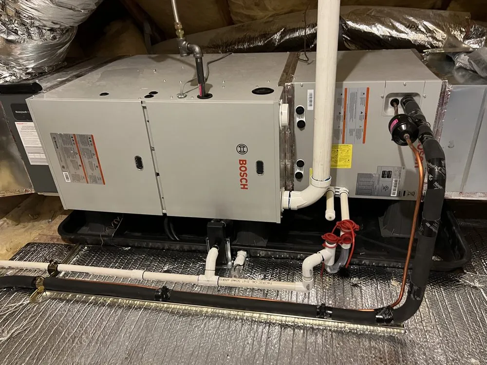 Slide of Bowman Aire