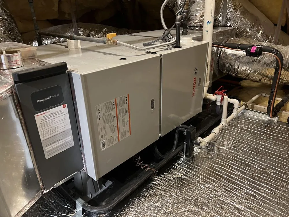 Slide of Bowman Aire