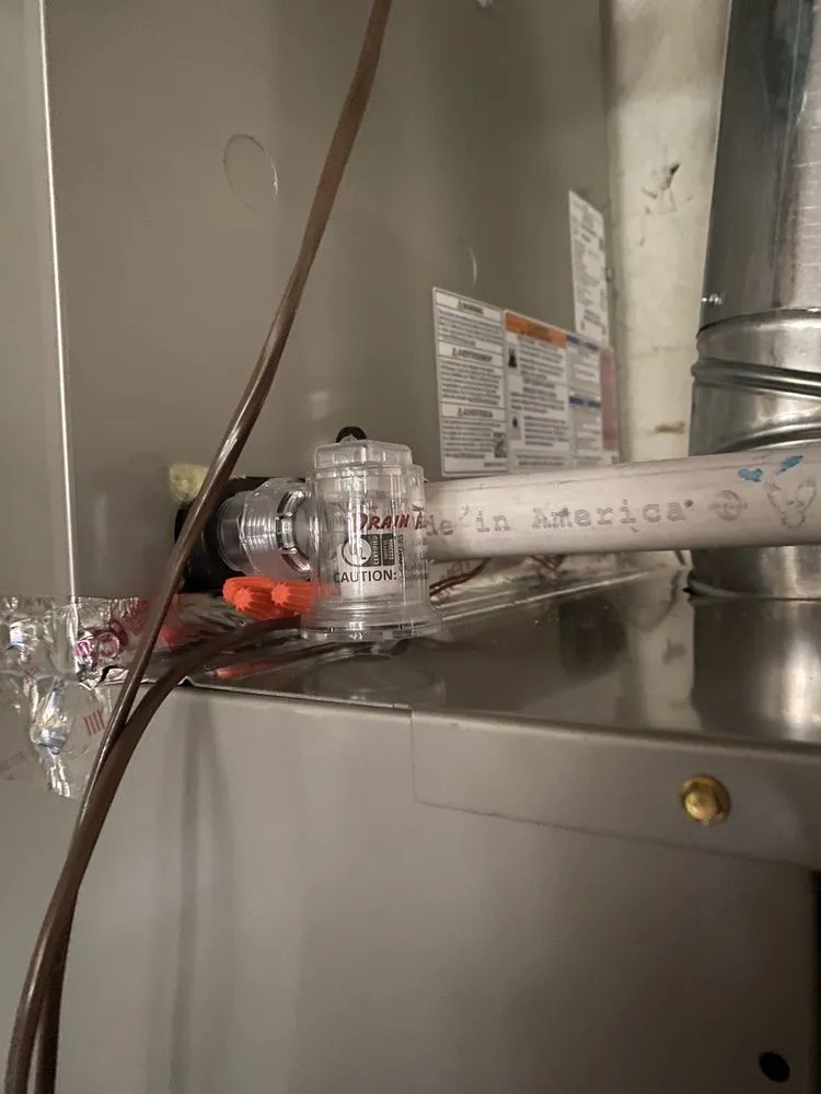 Slide of Bowman Of Arcadia