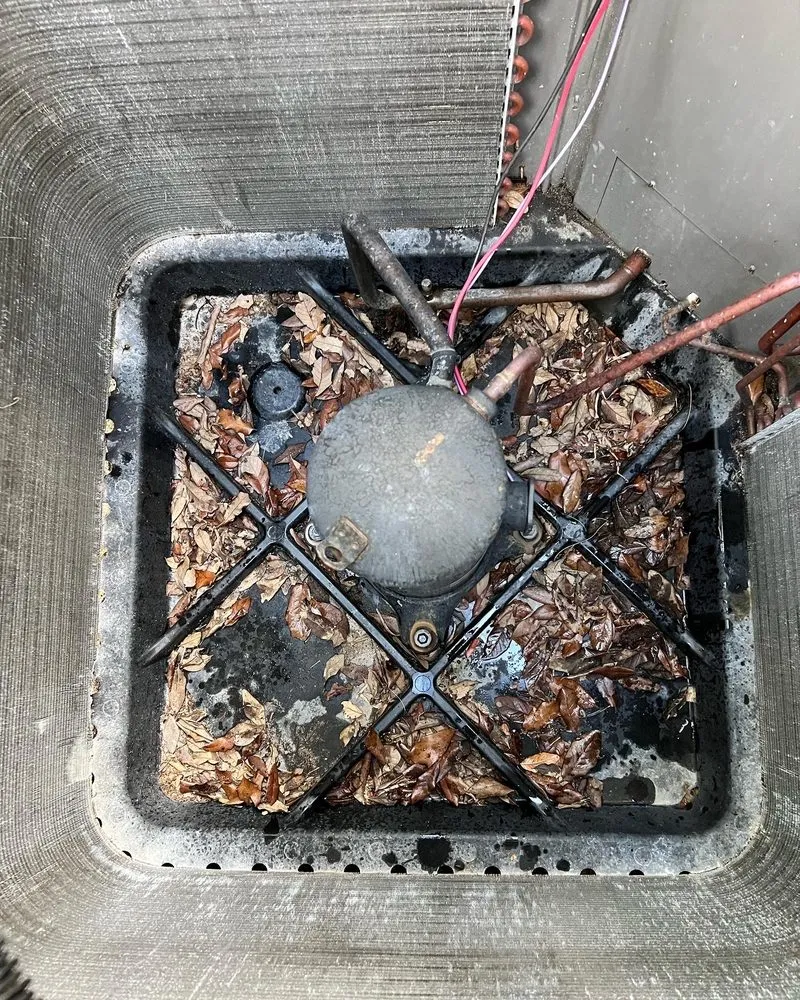 Slide of BPNV Services