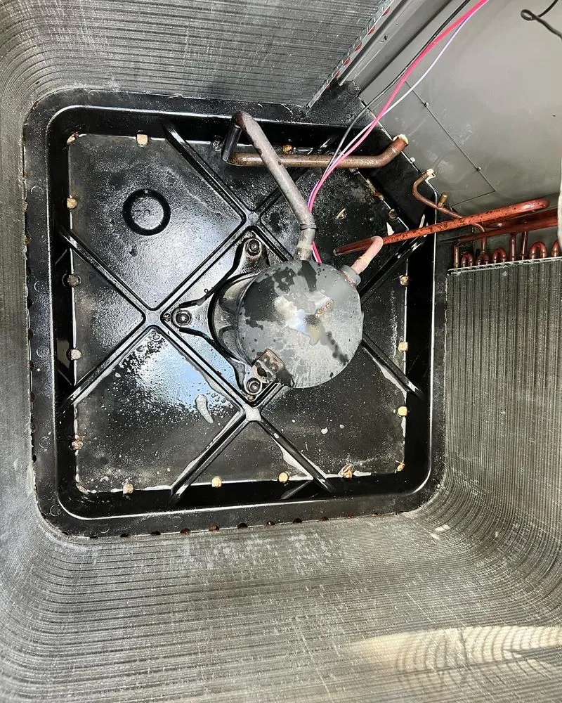 Slide of BPNV Services