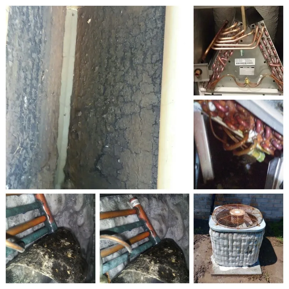 Slide of Brad Chasteen