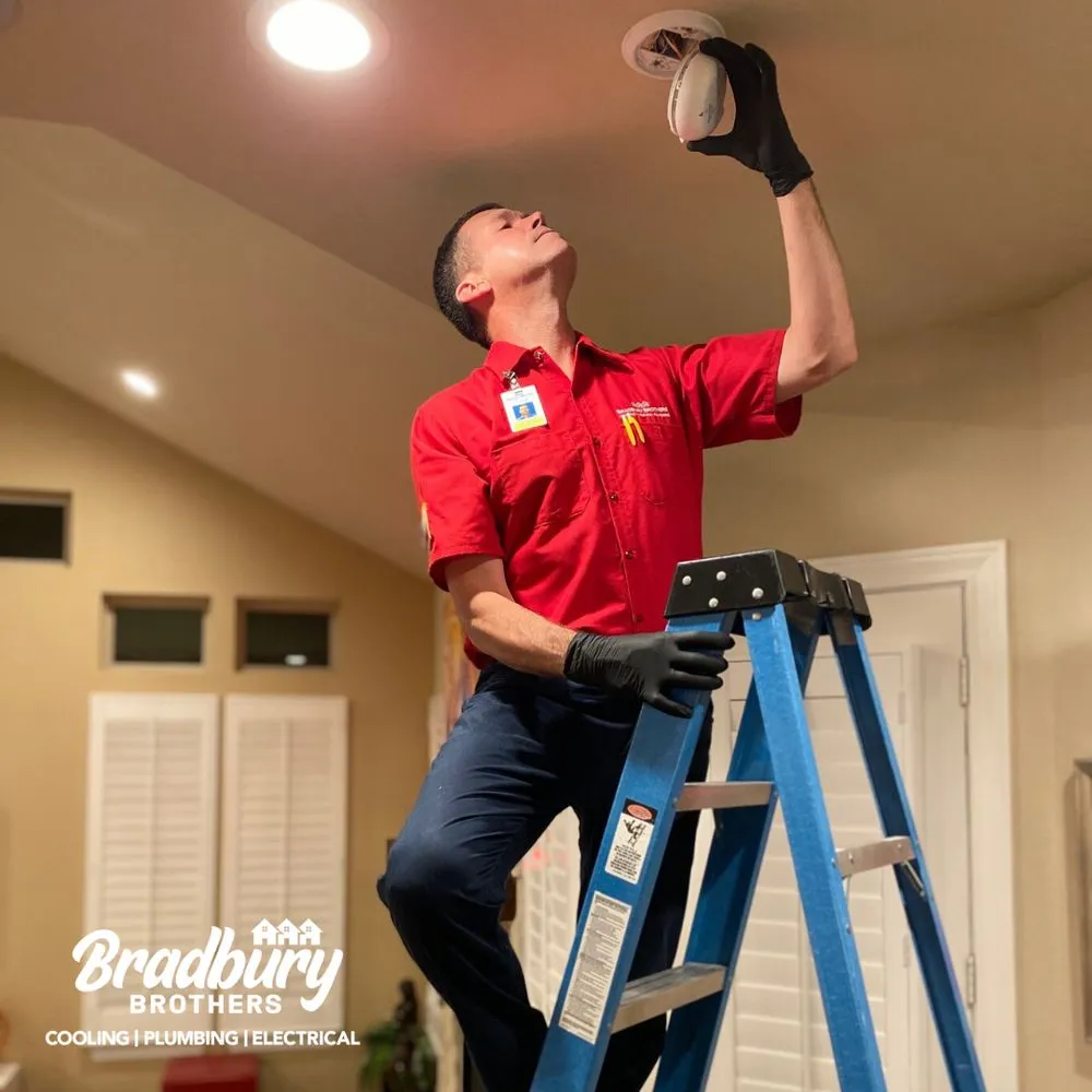 Slide of Bradbury Brothers