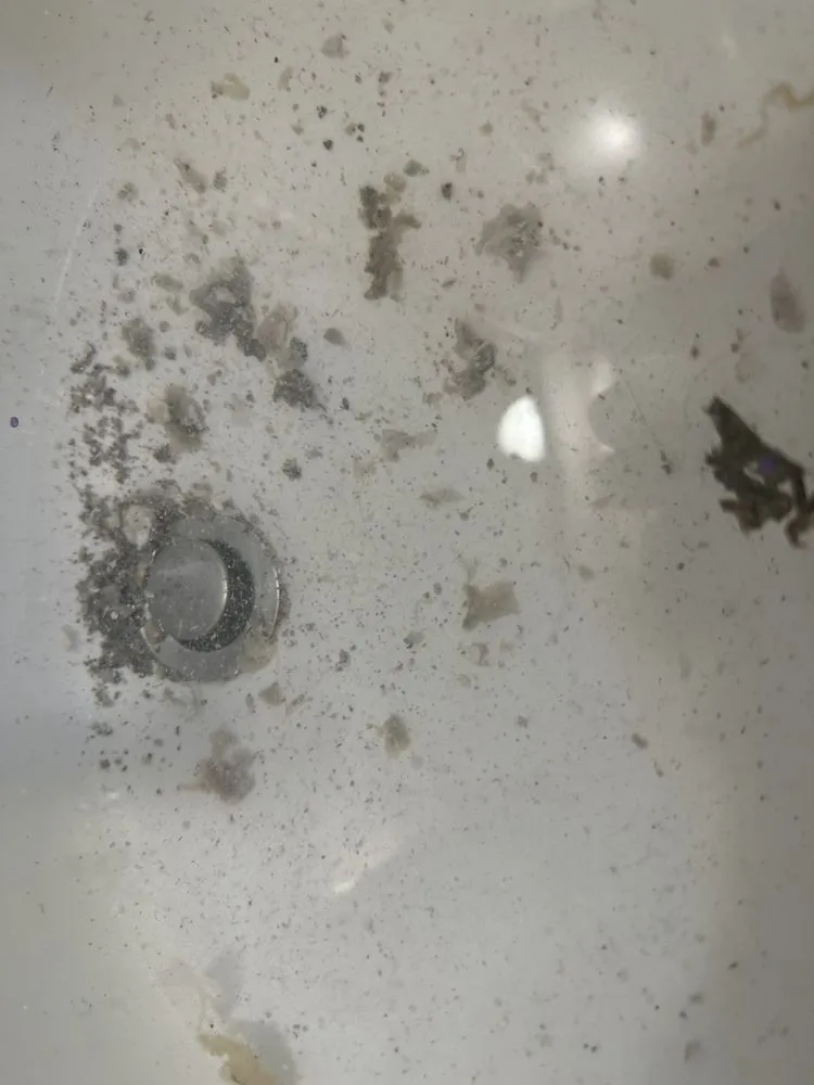 Slide of Bradbury Brothers