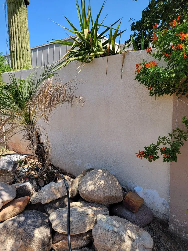 Slide of Bran Painting