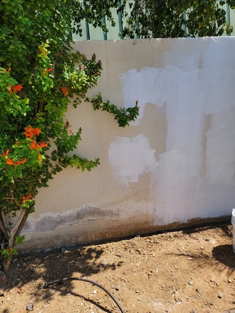 Slide of Bran Painting