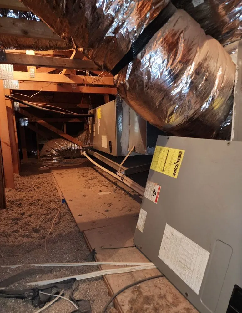 Slide of Brandon M Townsend