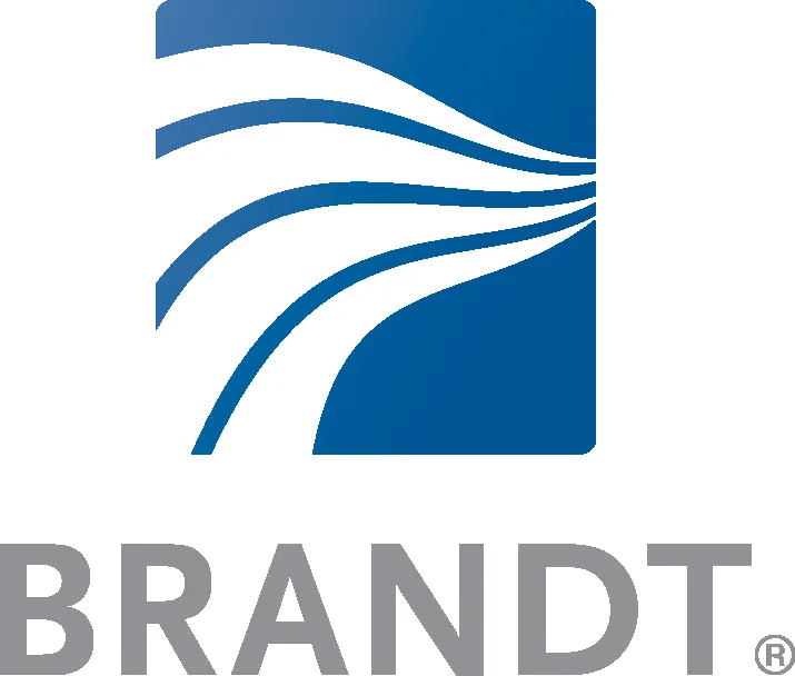 Slide of Brandt