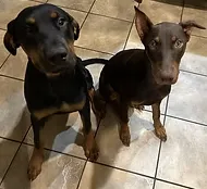 Slide of Branham Climate Solutions