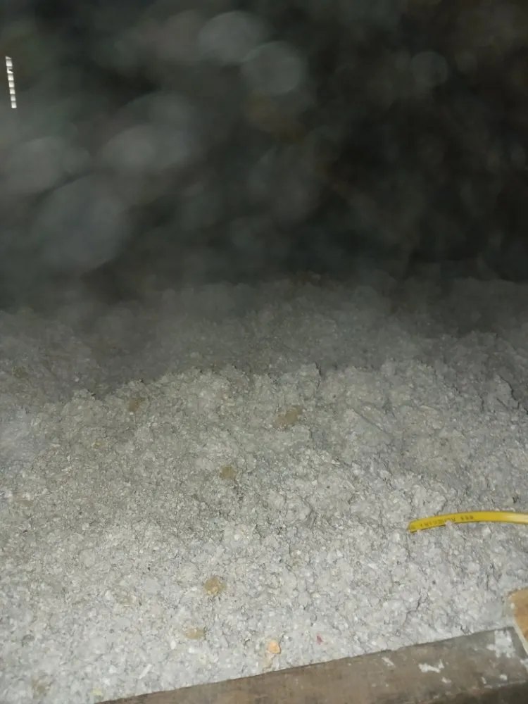 Slide of Breathe Fresh