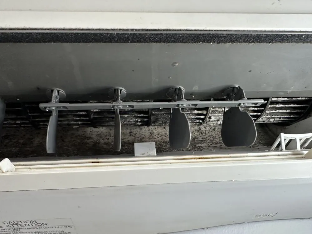 Slide of BreezeClean