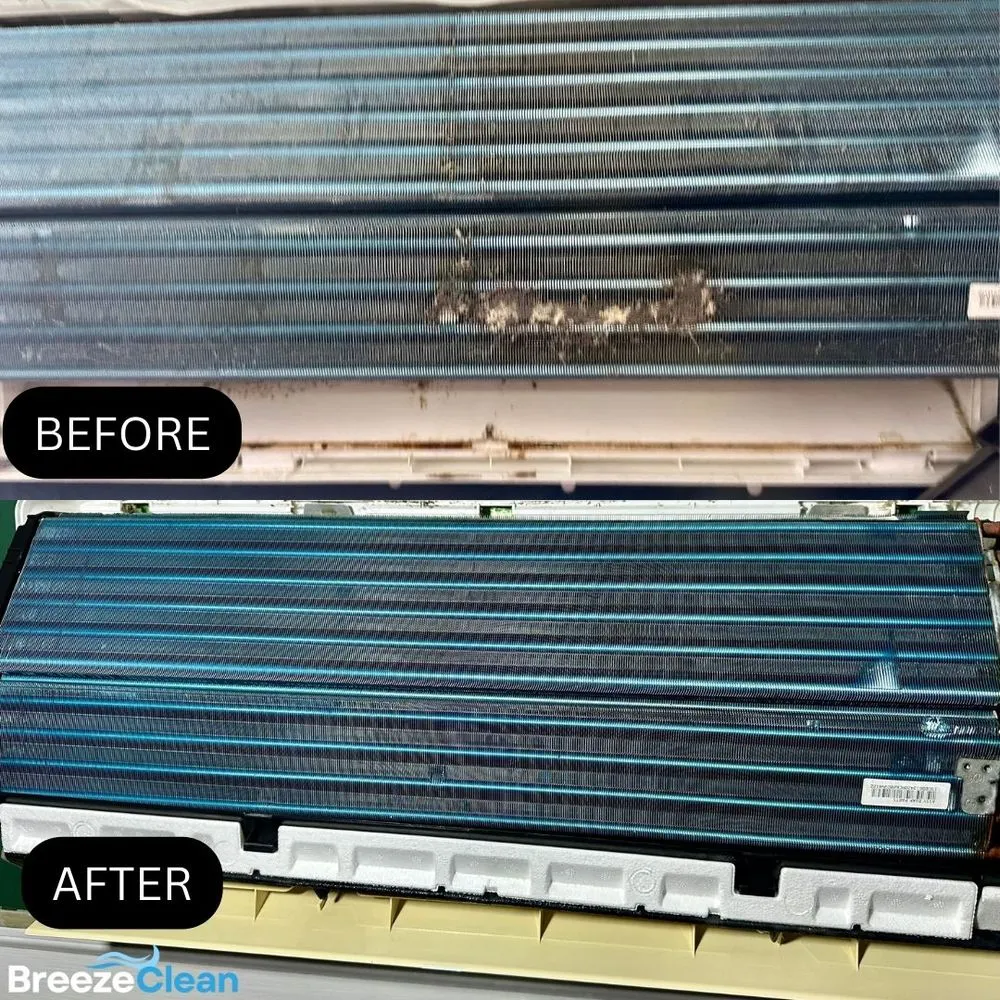 Slide of BreezeClean