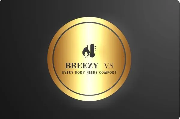 Breezy V's Logo
