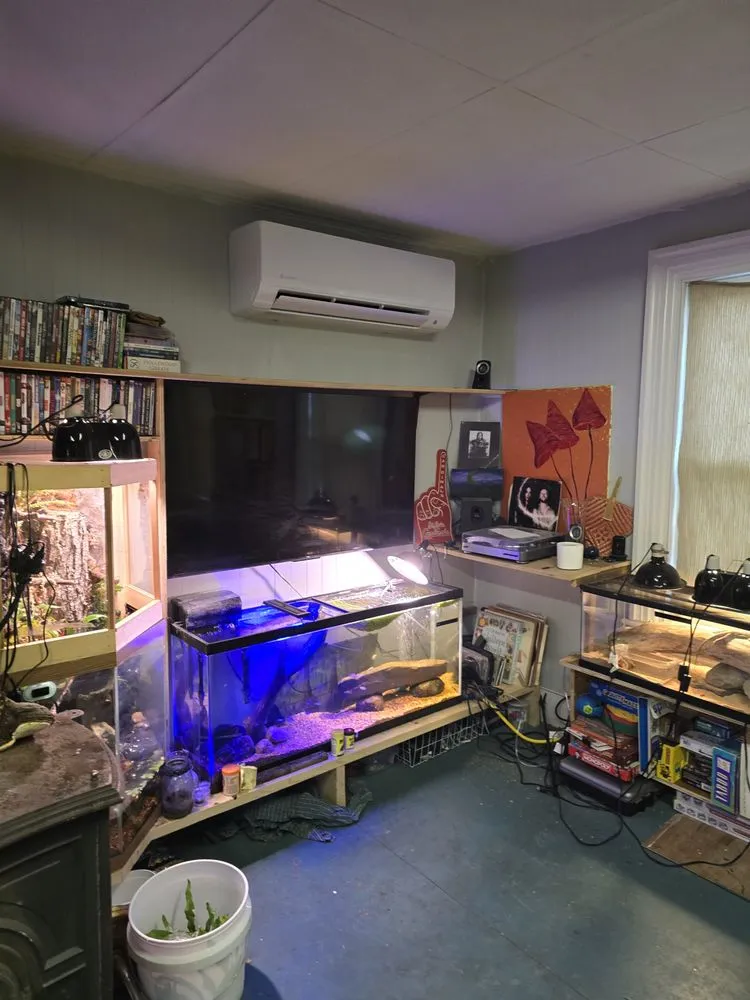 Slide of BRF Services