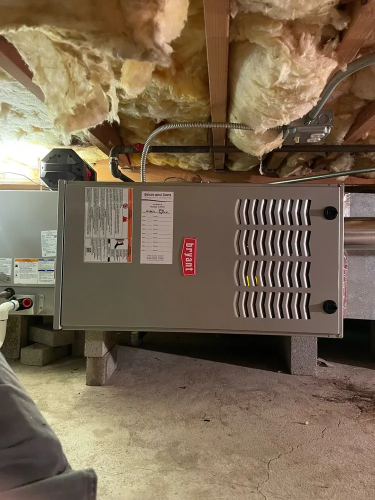 Slide of Brian and Sons