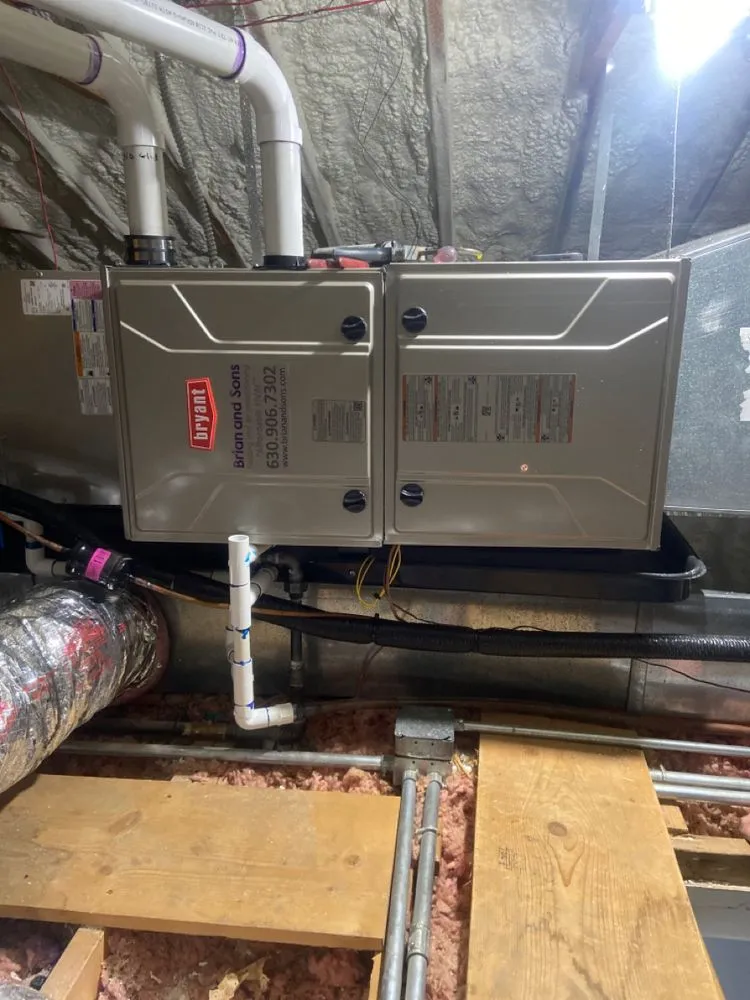 Slide of Brian and Sons