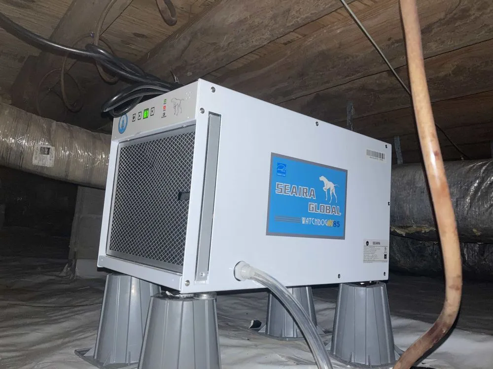 Slide of Brian's Mechanical