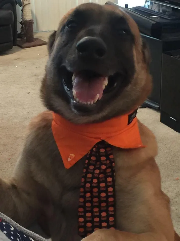 Slide of Brian's Mechanical