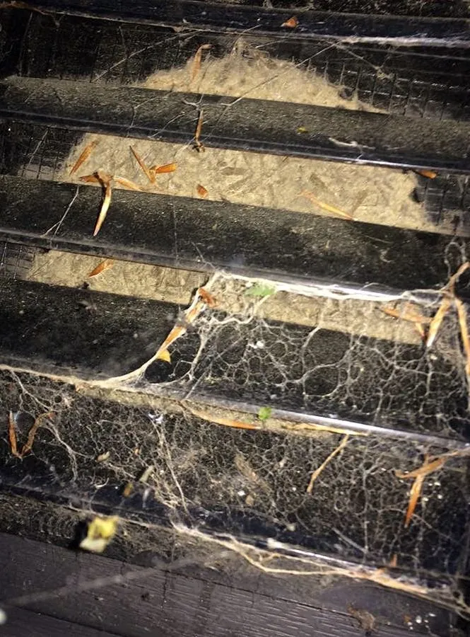 Slide of Briargate Heating & AC