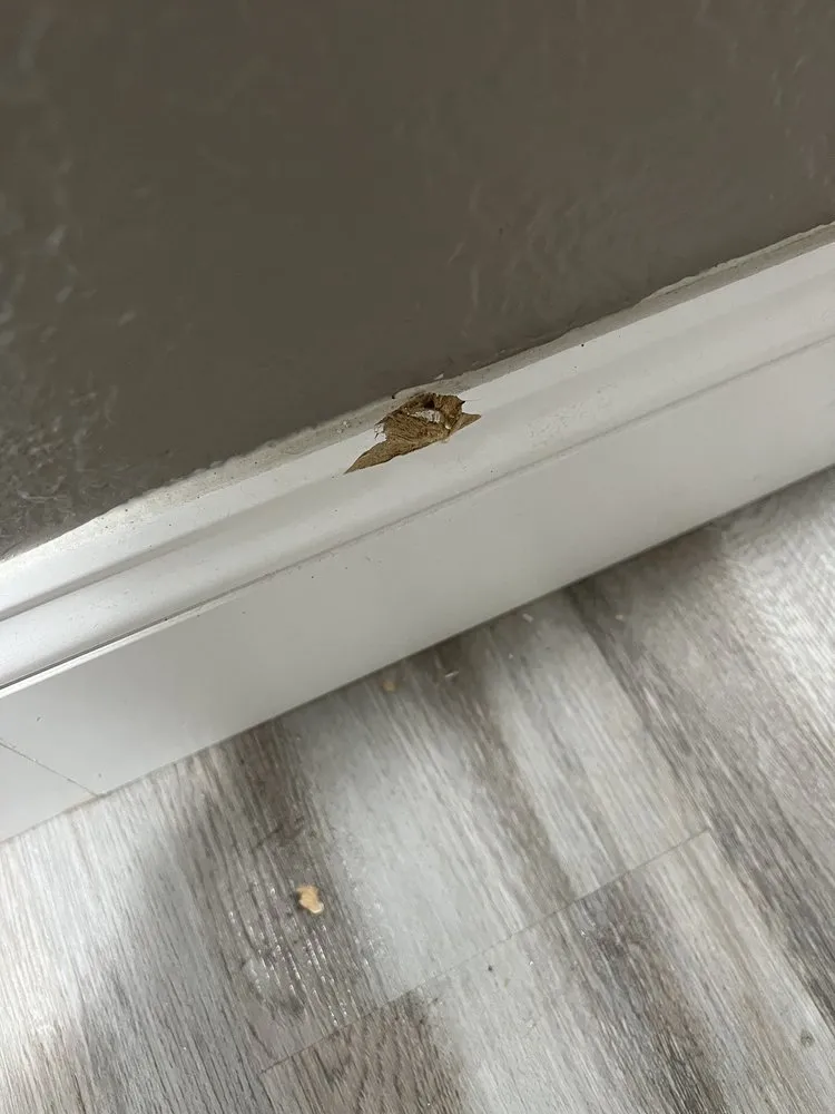 Slide of Brieza Energy Efficiency Services