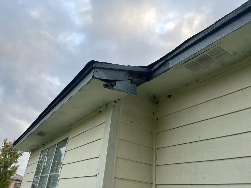 Slide of Briggs Home Maintenace Services