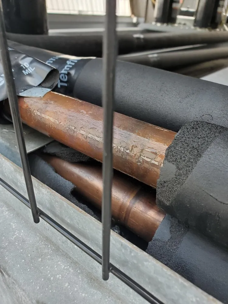 Slide of Bright Star Service