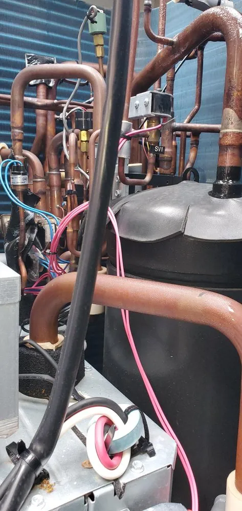 Slide of Bright Star Service