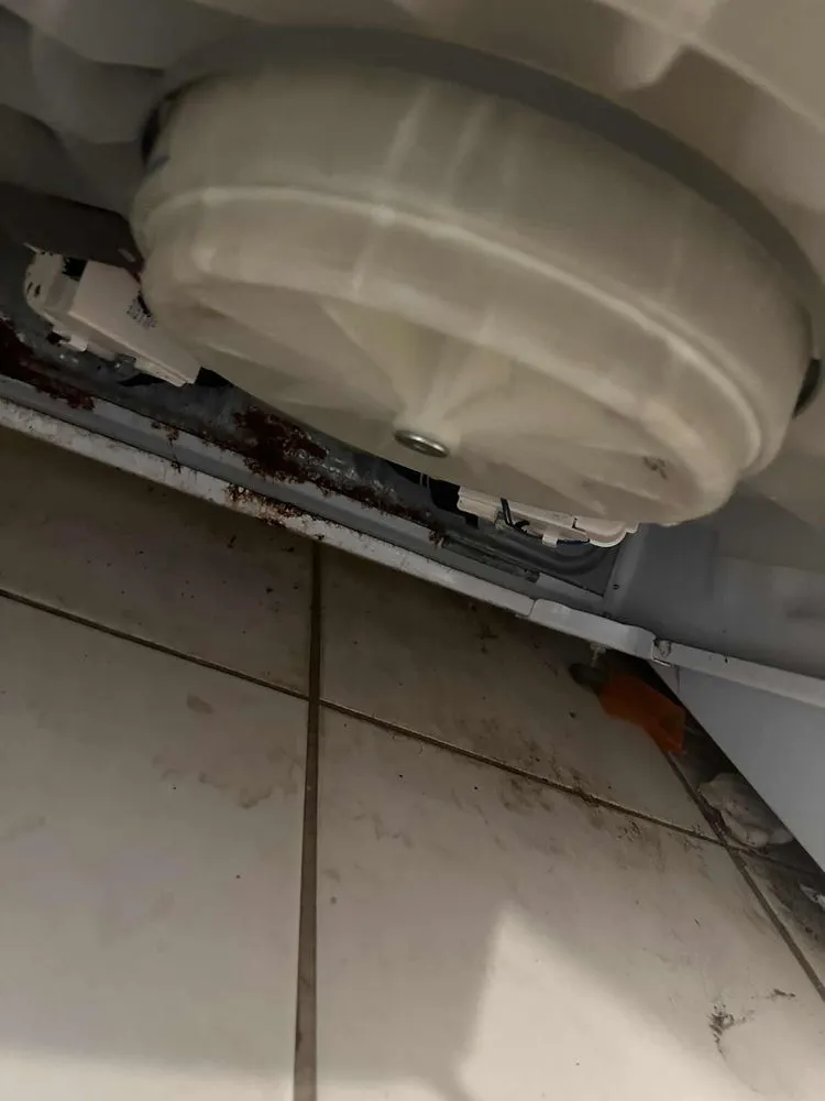 Slide of Bright Star Tech