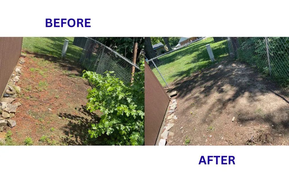 Slide of BrightForce Exterior Care