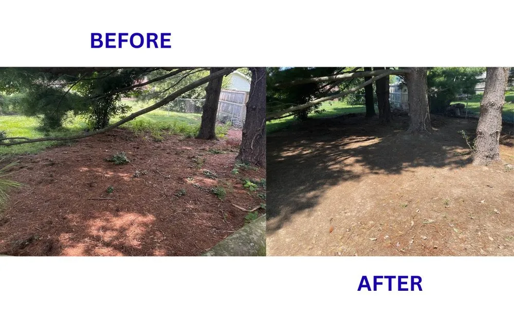 Slide of BrightForce Exterior Care