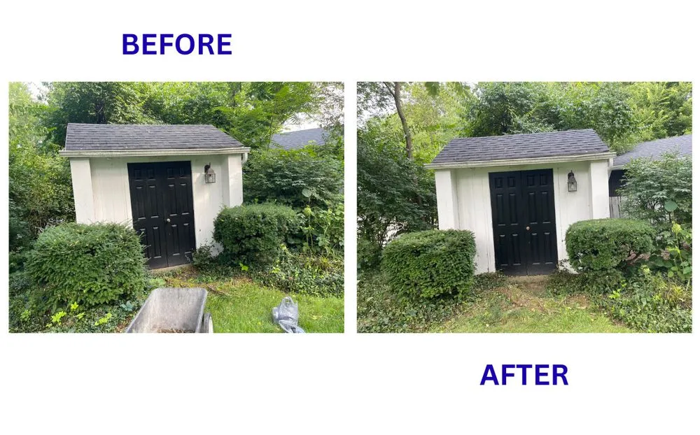 Slide of BrightForce Exterior Care