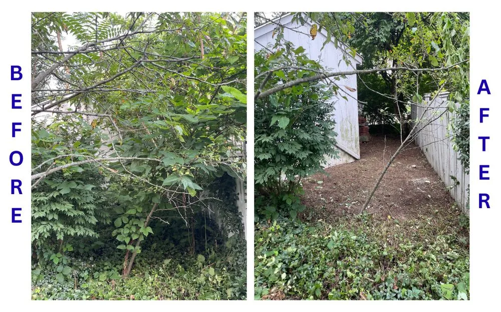 Slide of BrightForce Exterior Care