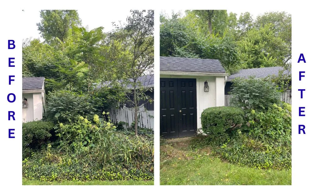 Slide of BrightForce Exterior Care