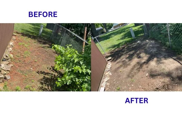 BrightForce Exterior Care Logo