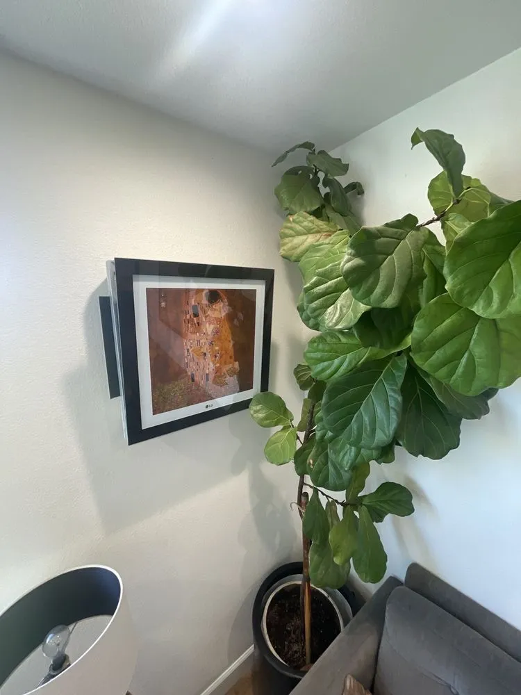 Slide of Brightstar Refrigeration