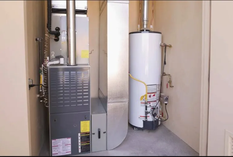 Slide of Brilliant Bee AC