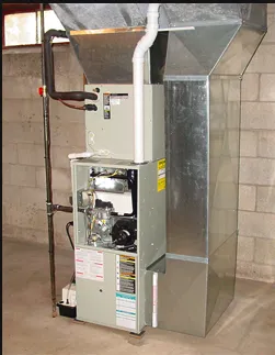 Slide of Brilliant Bee AC