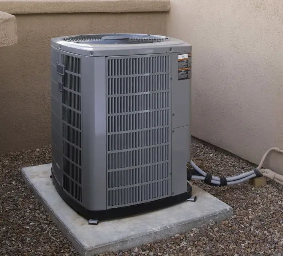 Slide of Brilliant Bee AC