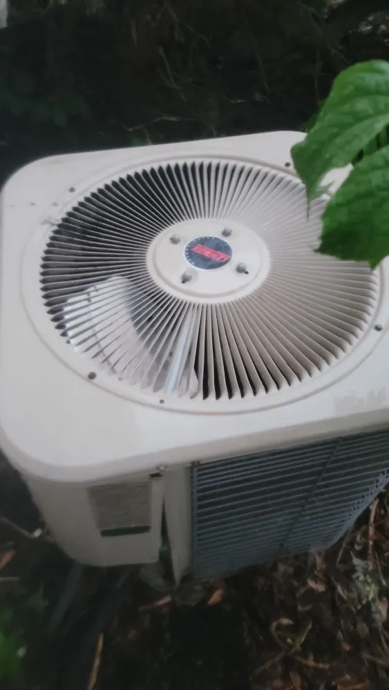 Slide of Brioso Refrigeration