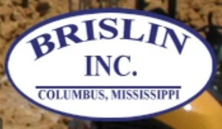 Slide of Brislin