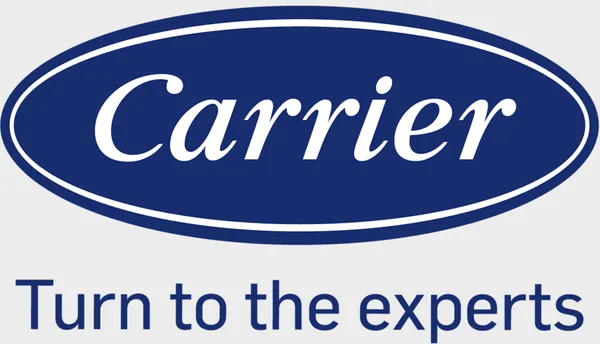 Britton Service Group