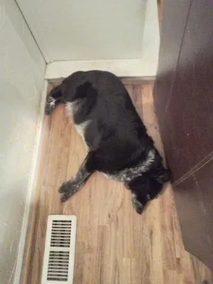 Broom Heating & Air Conditioning