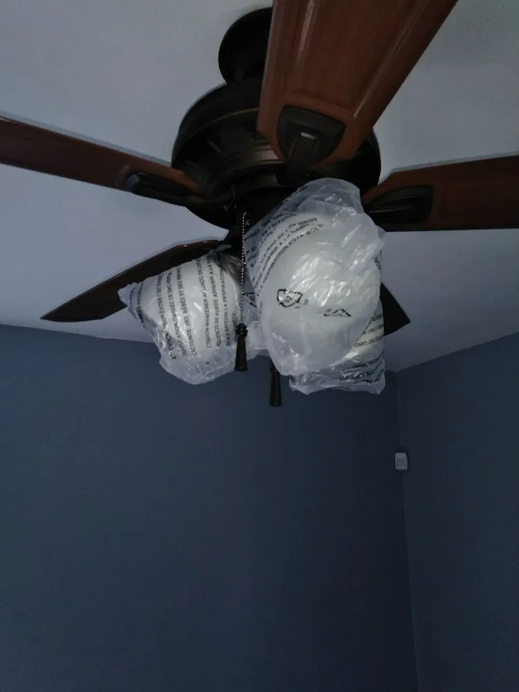 Slide of Brothers in Motion