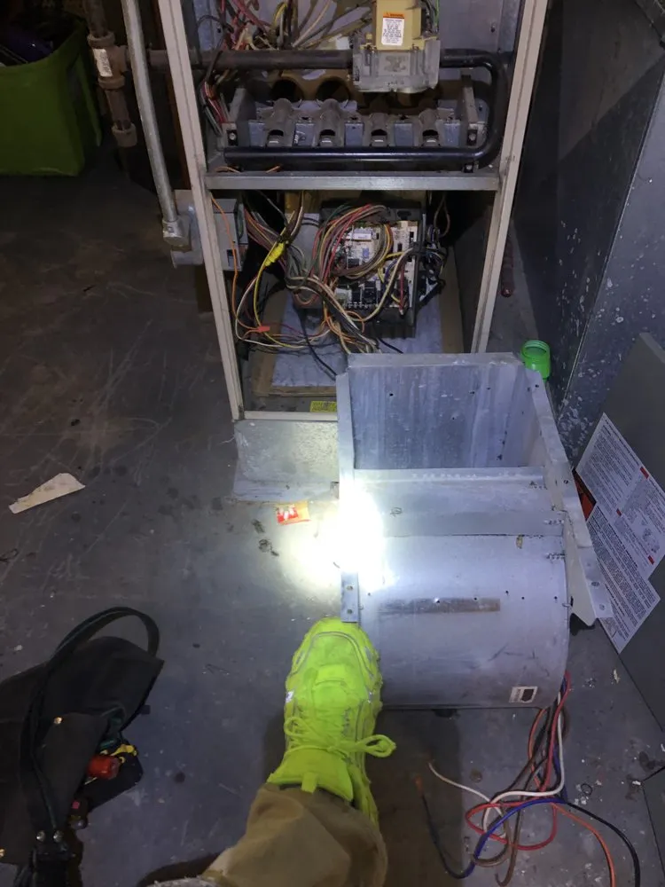 Slide of Brown and Son