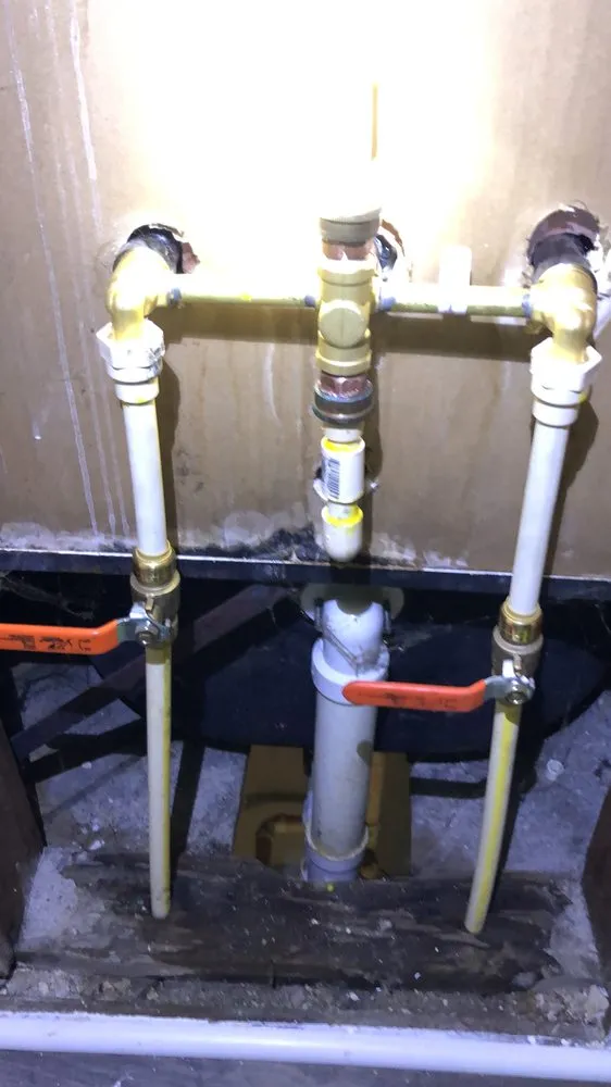 Slide of Brown and Son