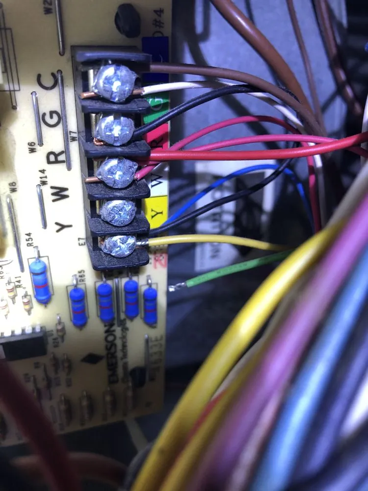 Slide of Brown and Son