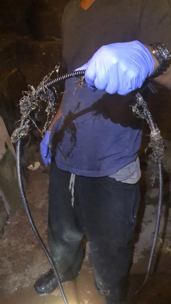 Slide of Brown and Son